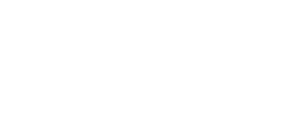 BBSS